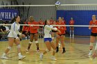 Wheaton Women's Volleyball  Wheaton Women's Volleyball vs Bridgewater State University. : Wheaton, Volleyball, BSU, Bridgewater State College